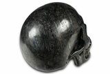 Polished Chatoyant Black Stone Skull #382193-4